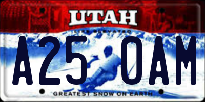 UT license plate A250AM