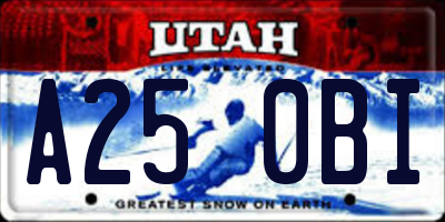 UT license plate A250BI