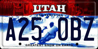 UT license plate A250BZ