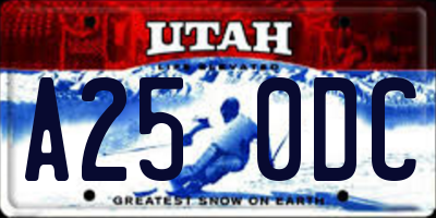 UT license plate A250DC