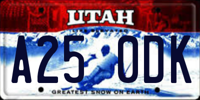 UT license plate A250DK