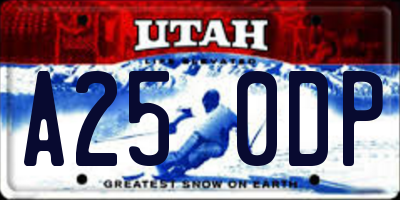 UT license plate A250DP