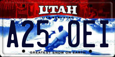 UT license plate A250EI