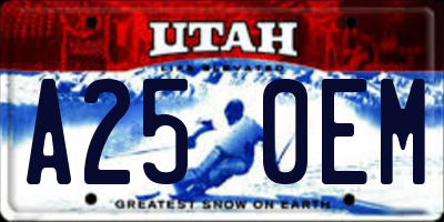 UT license plate A250EM