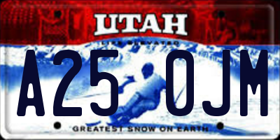 UT license plate A250JM
