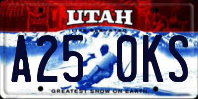 UT license plate A250KS