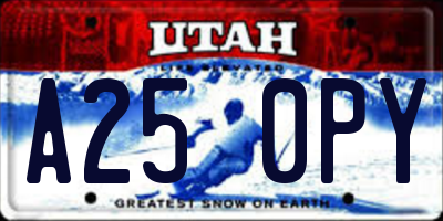 UT license plate A250PY