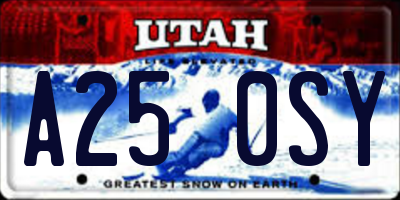 UT license plate A250SY