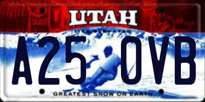 UT license plate A250VB