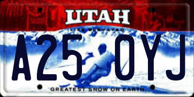 UT license plate A250YJ