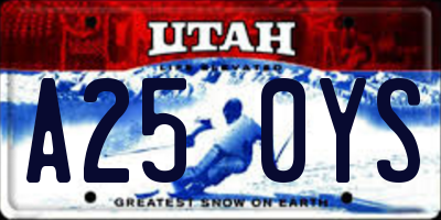 UT license plate A250YS