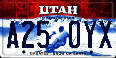 UT license plate A250YX