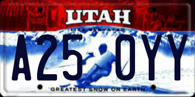 UT license plate A250YY