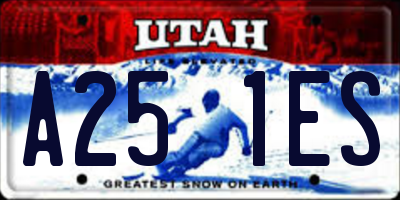 UT license plate A251ES