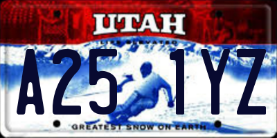 UT license plate A251YZ