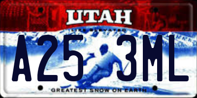 UT license plate A253ML