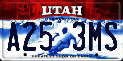 UT license plate A253MS