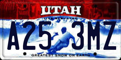 UT license plate A253MZ