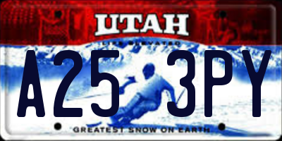 UT license plate A253PY
