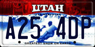 UT license plate A254DP