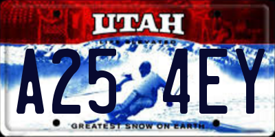 UT license plate A254EY
