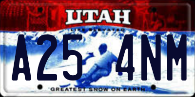 UT license plate A254NM