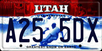 UT license plate A255DX