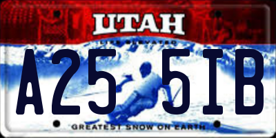 UT license plate A255IB