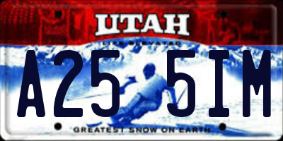 UT license plate A255IM