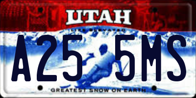 UT license plate A255MS