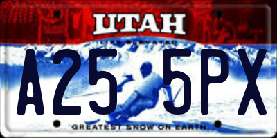 UT license plate A255PX