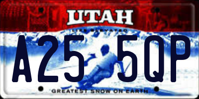 UT license plate A255QP