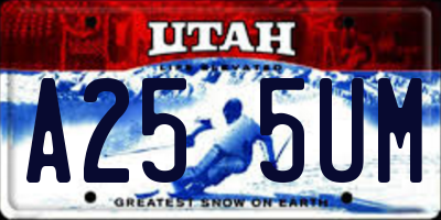 UT license plate A255UM