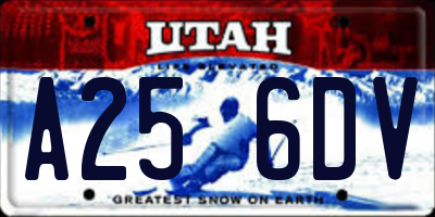 UT license plate A256DV