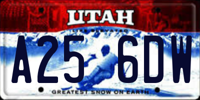 UT license plate A256DW