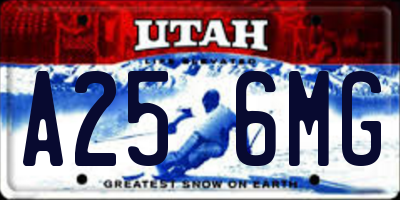 UT license plate A256MG