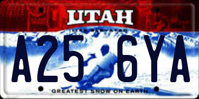 UT license plate A256YA