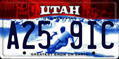 UT license plate A259IC