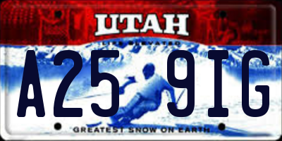 UT license plate A259IG