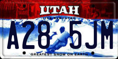UT license plate A285JM