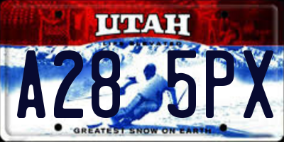 UT license plate A285PX