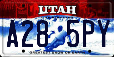 UT license plate A285PY