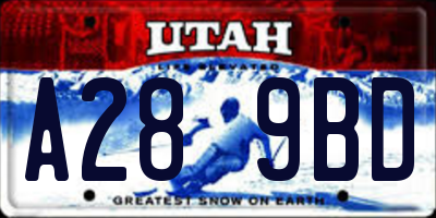 UT license plate A289BD