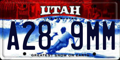 UT license plate A289MM