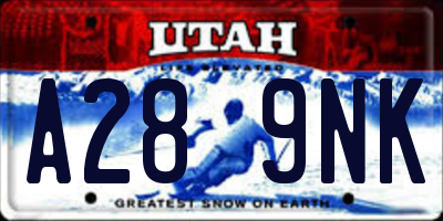 UT license plate A289NK