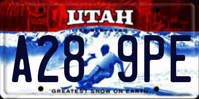 UT license plate A289PE