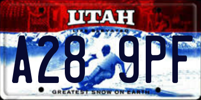 UT license plate A289PF