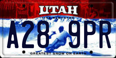 UT license plate A289PR