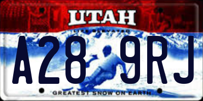 UT license plate A289RJ