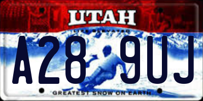 UT license plate A289UJ